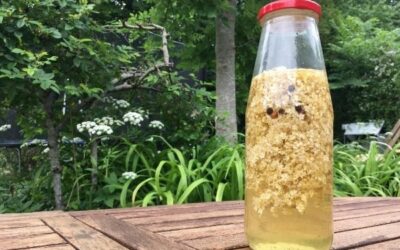 The best elderflower vinegar recipe