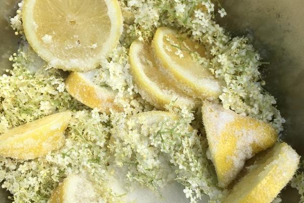 Elderflowers and lemons covered in sugar